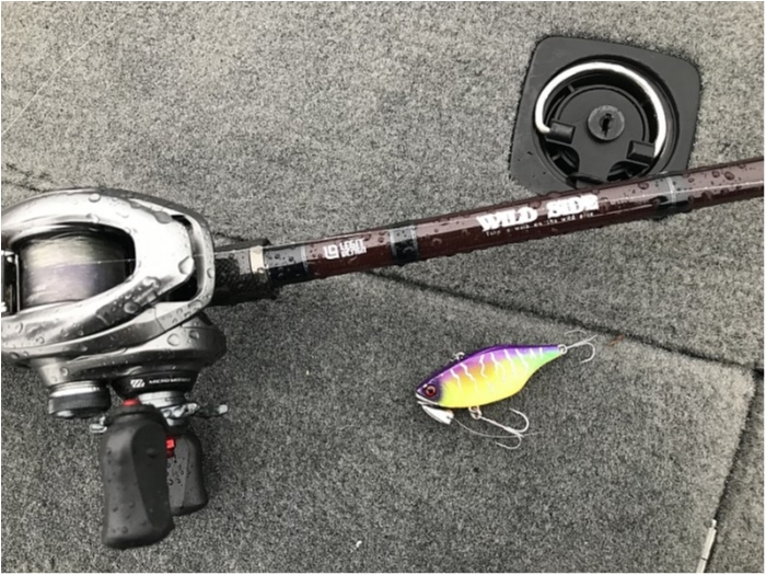 truth  ブログ写真 2018/03/05