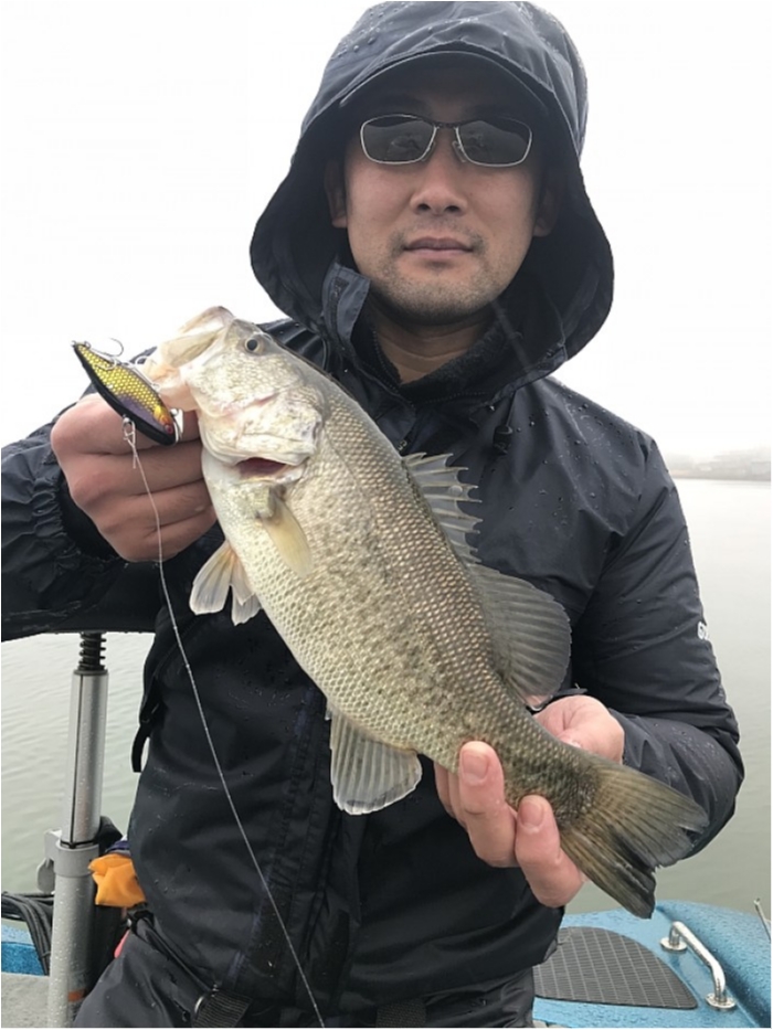 truth  ブログ写真 2018/03/05