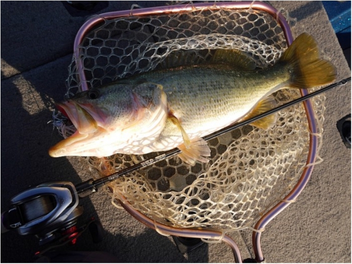 truth  ブログ写真 2018/03/07