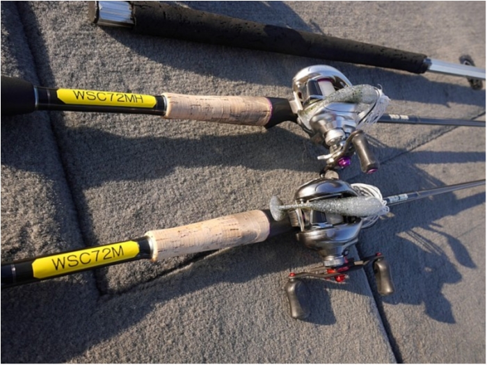 truth  ブログ写真 2018/03/07