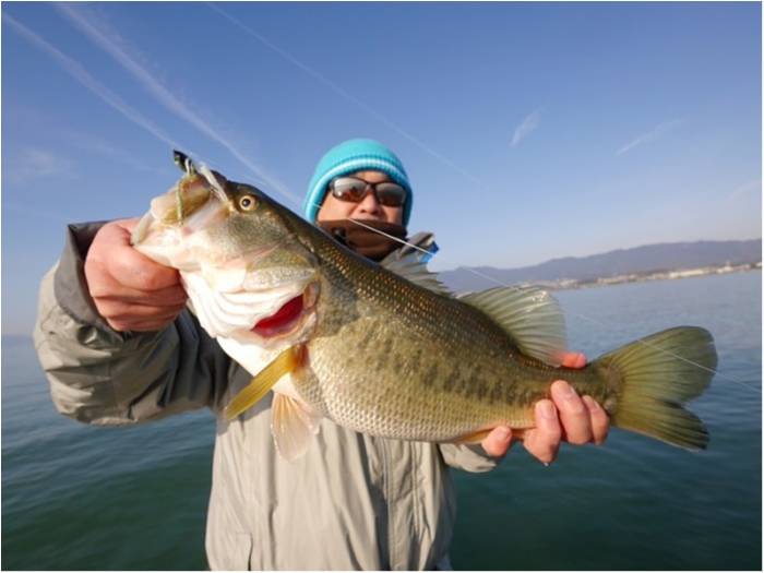 truth  ブログ写真 2018/03/07