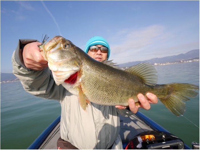 truth  ブログ写真 2018/03/07