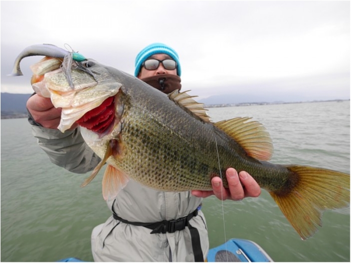 truth  ブログ写真 2018/03/07