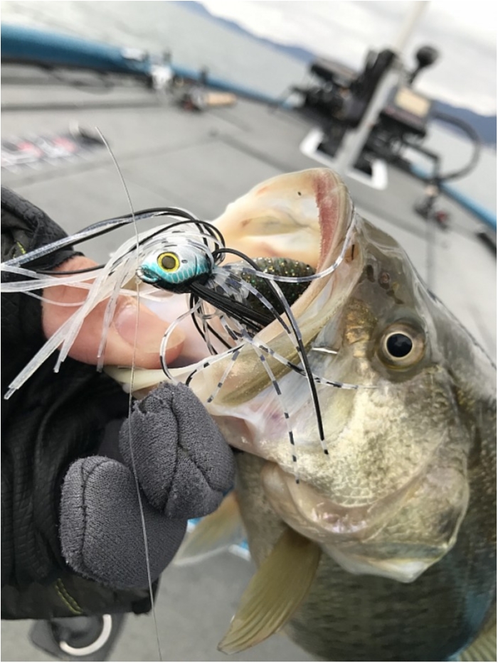 truth  ブログ写真 2018/03/08