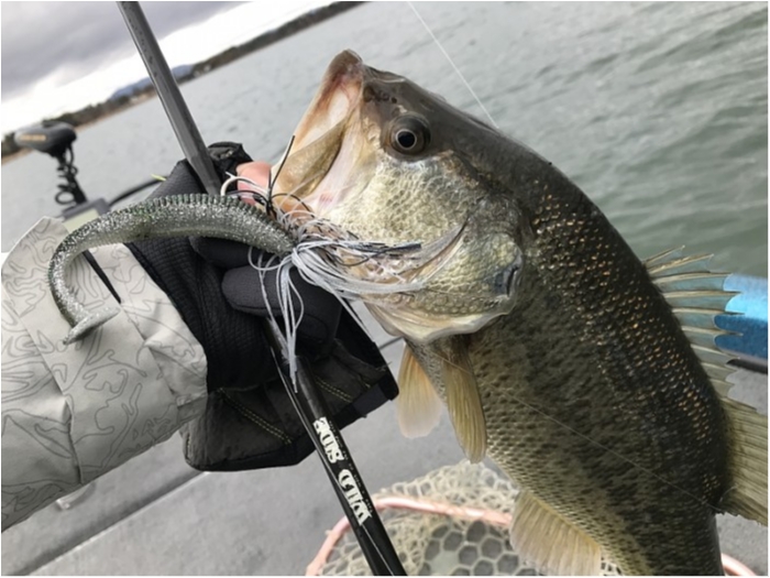 truth  ブログ写真 2018/03/08