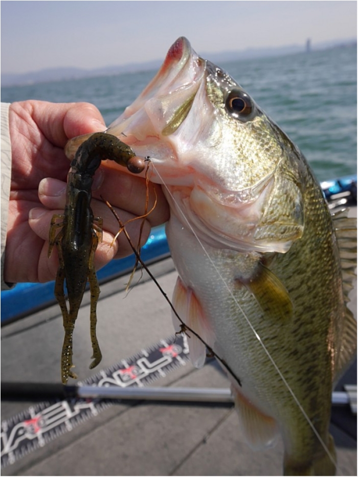 truth  ブログ写真 2018/03/13