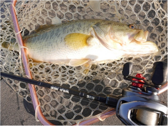 truth  ブログ写真 2018/03/13