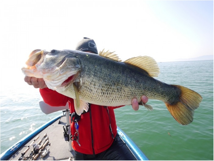 truth  ブログ写真 2018/03/14