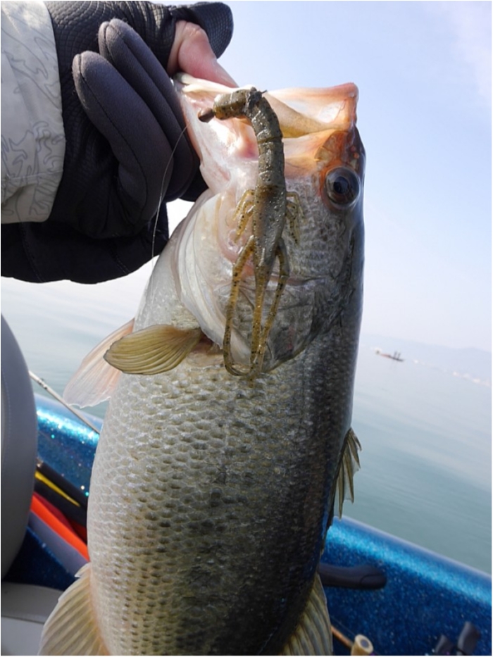 truth  ブログ写真 2018/03/15