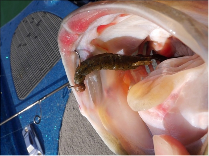 truth  ブログ写真 2018/03/17