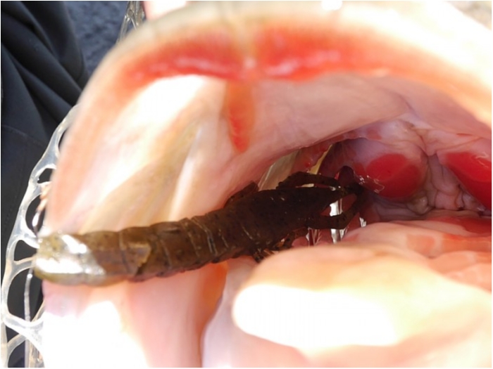 truth  ブログ写真 2018/03/17