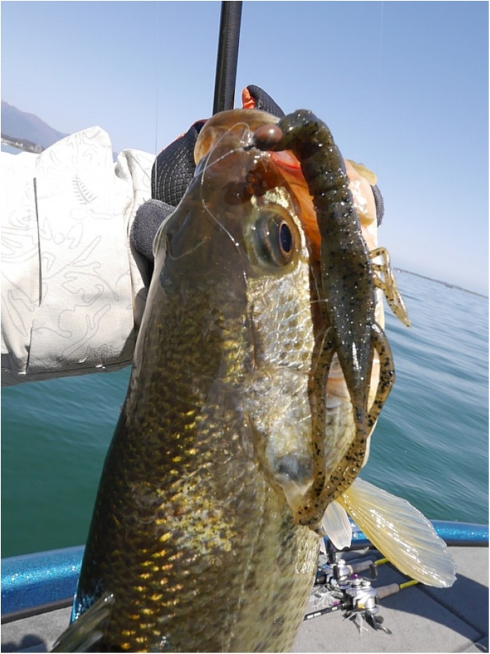 truth  ブログ写真 2018/03/17