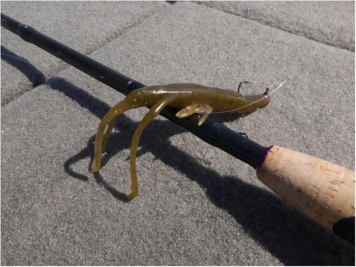 truth  ブログ写真 2018/03/17