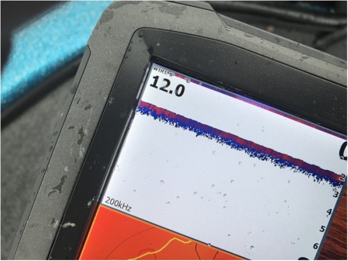 truth  ブログ写真 2018/03/17