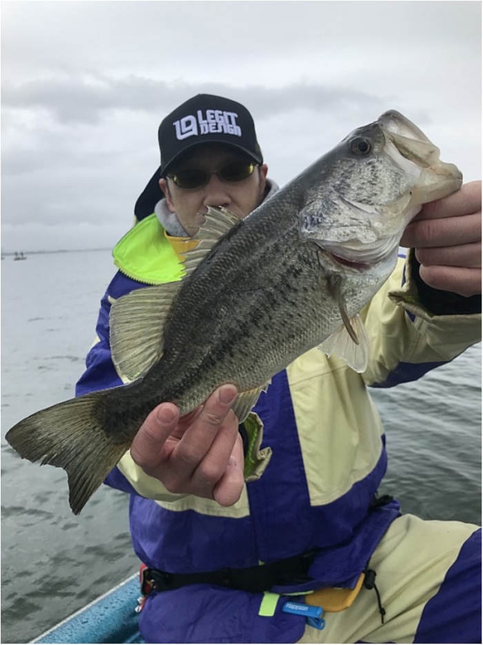 truth  ブログ写真 2018/03/17