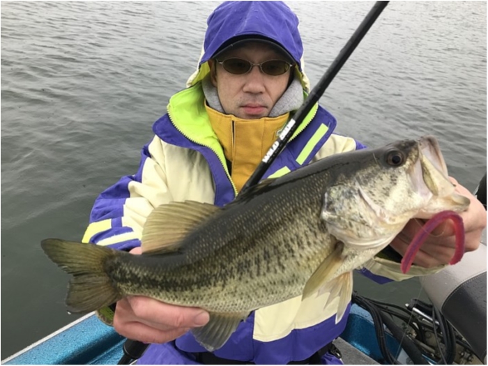 truth  ブログ写真 2018/03/17