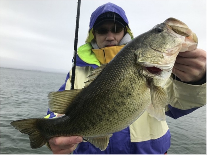 truth  ブログ写真 2018/03/17