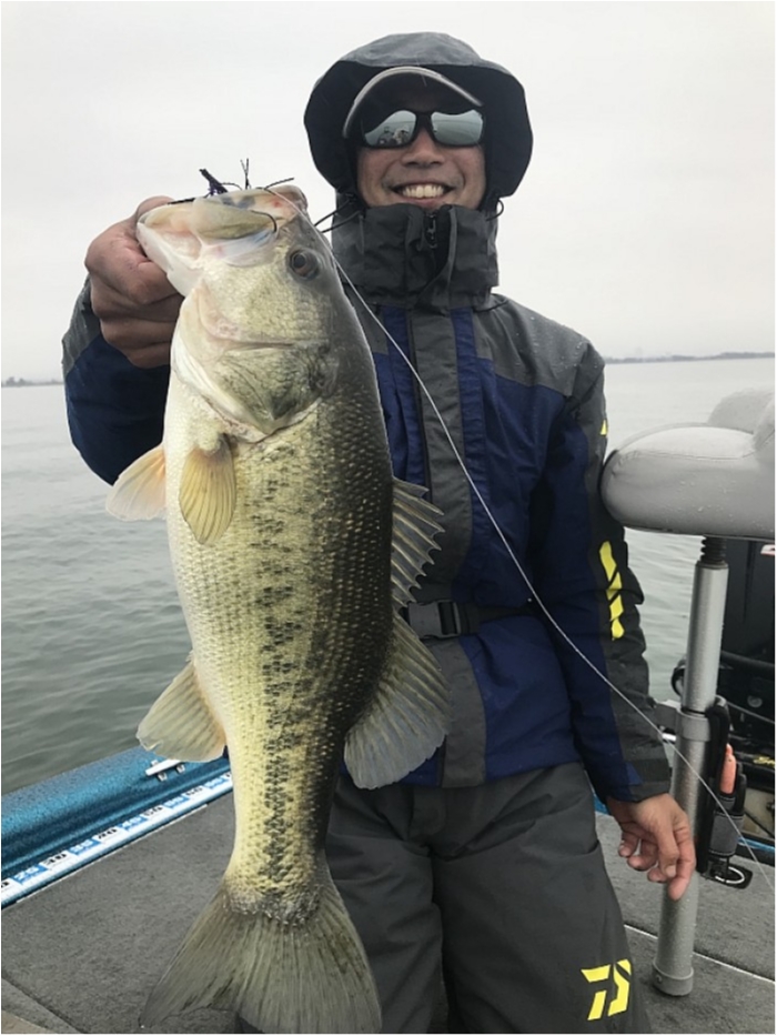 truth  ブログ写真 2018/03/19