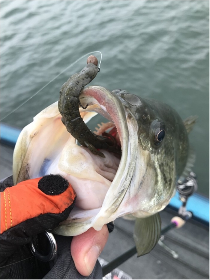 truth  ブログ写真 2018/03/20