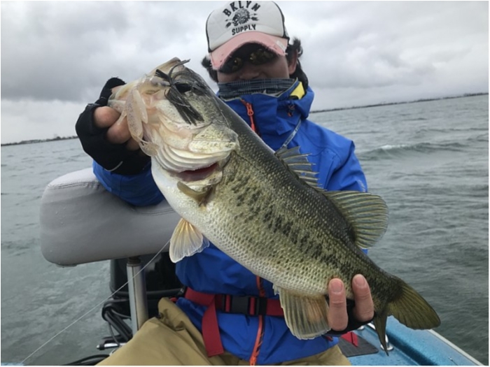 truth  ブログ写真 2018/03/20