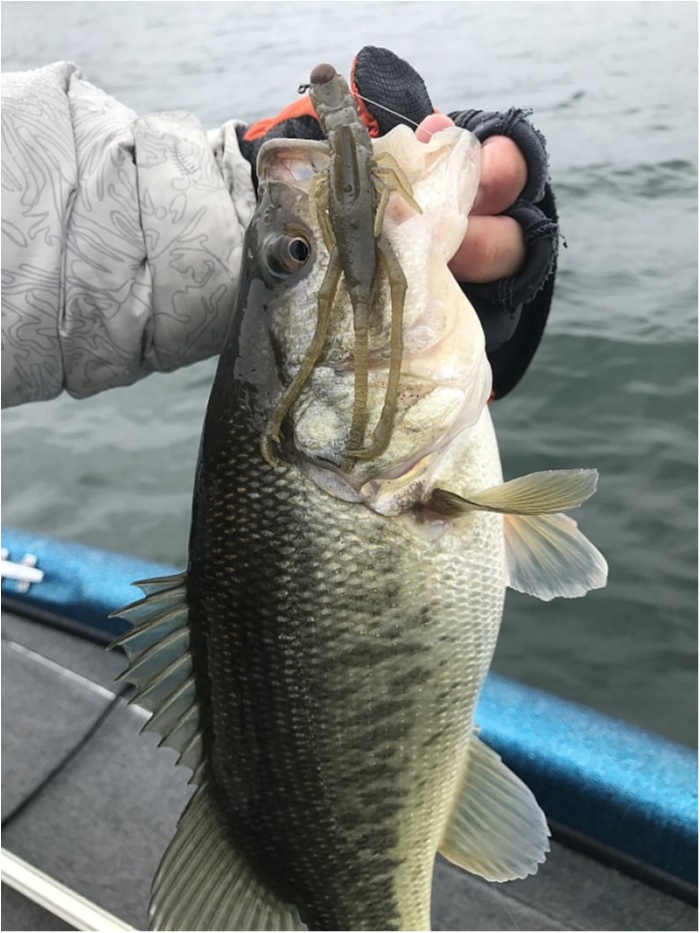 truth  ブログ写真 2018/03/20