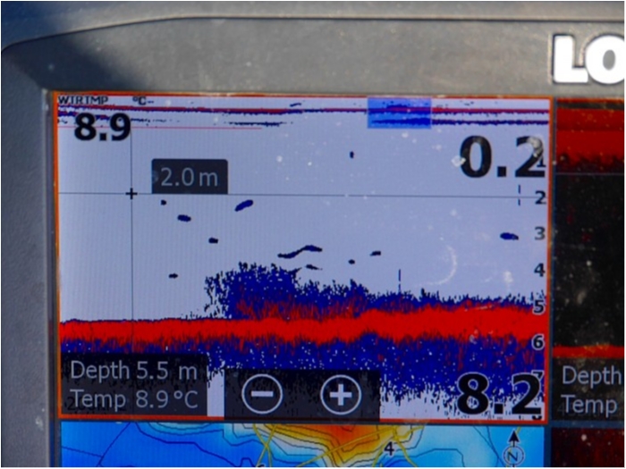 truth  ブログ写真 2018/03/23