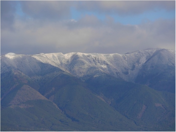 truth  ブログ写真 2018/03/23