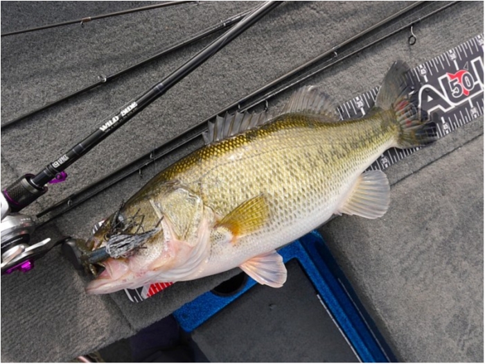 truth  ブログ写真 2018/03/23