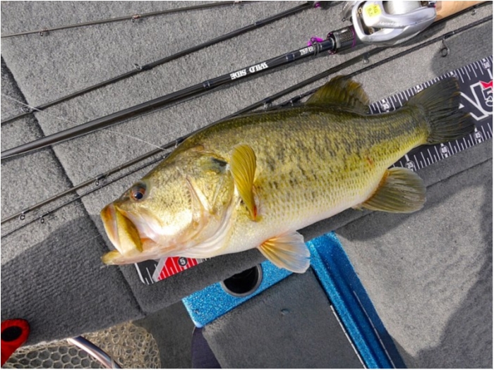 truth  ブログ写真 2018/03/23