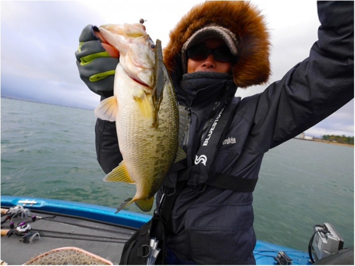 truth  ブログ写真 2018/03/23