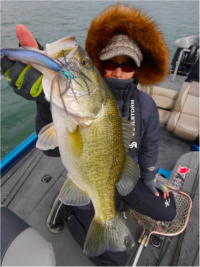 truth  ブログ写真 2018/03/23