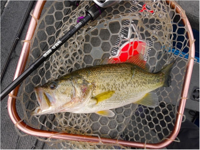 truth  ブログ写真 2018/03/23