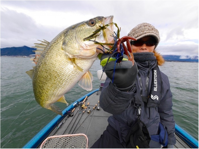 truth  ブログ写真 2018/03/23