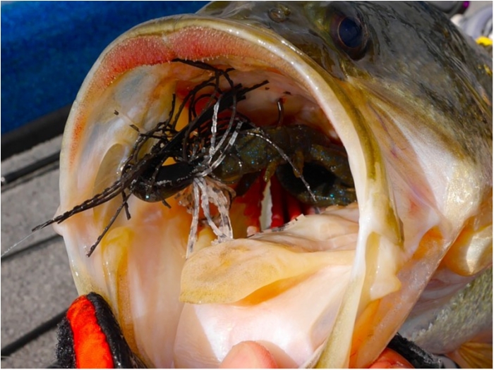 truth  ブログ写真 2018/03/23