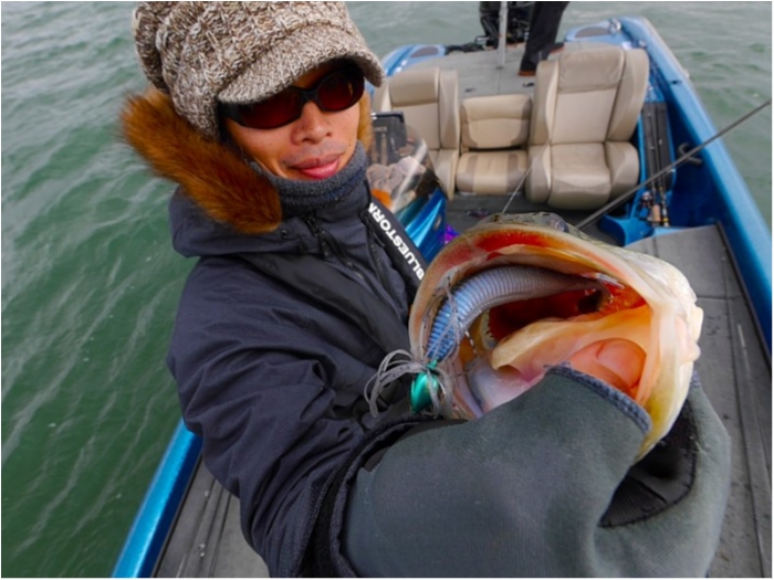 truth  ブログ写真 2018/03/23