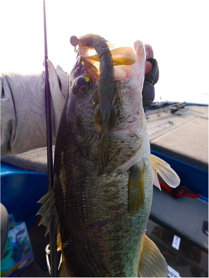 truth ブログ写真 2018/03/25