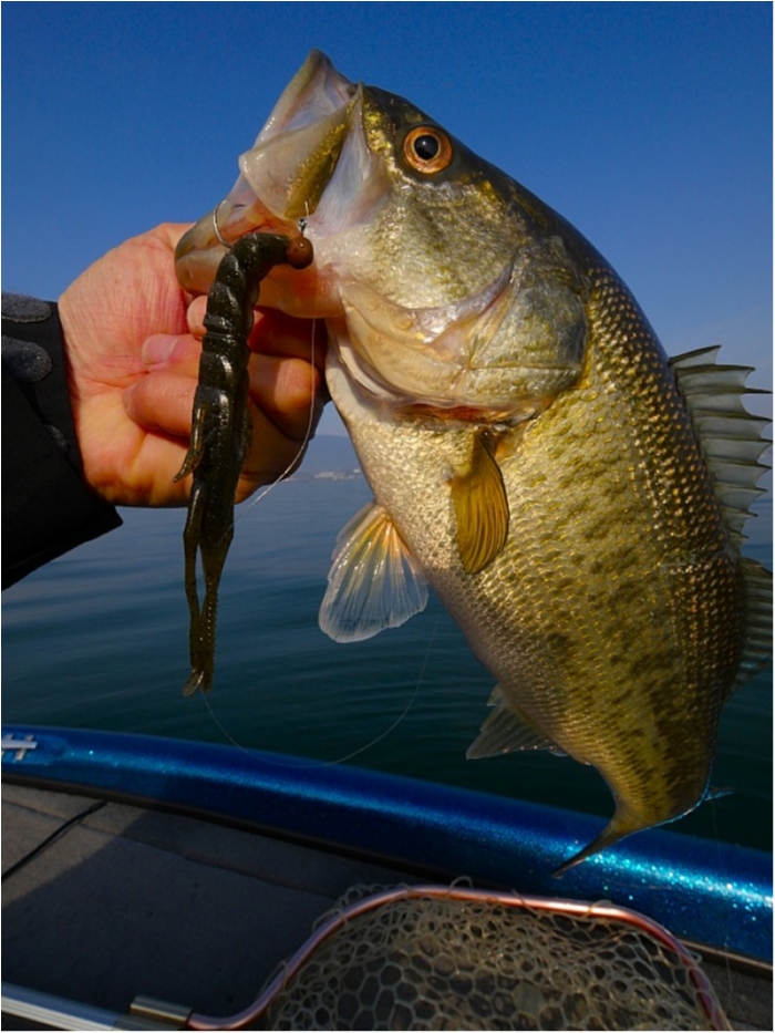 truth ブログ写真 2018/03/27