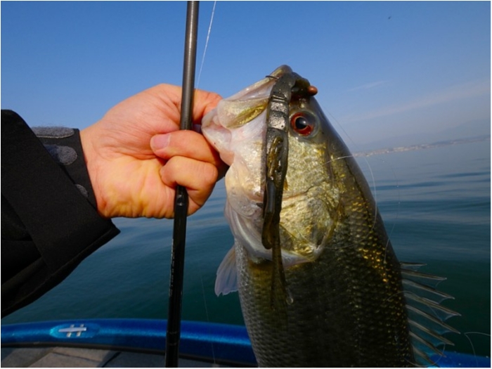 truth ブログ写真 2018/03/27