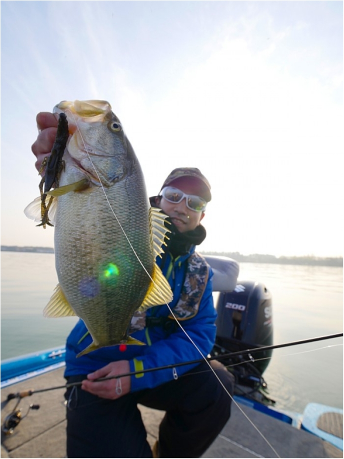 truth ブログ写真 2018/03/27