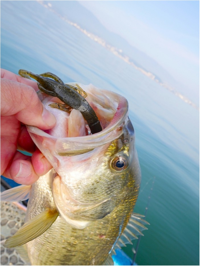 truth ブログ写真 2018/03/27