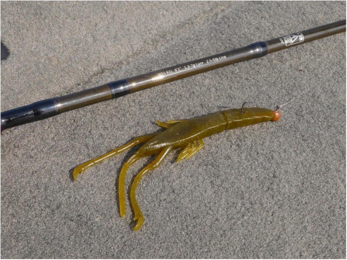 truth ブログ写真 2018/03/27