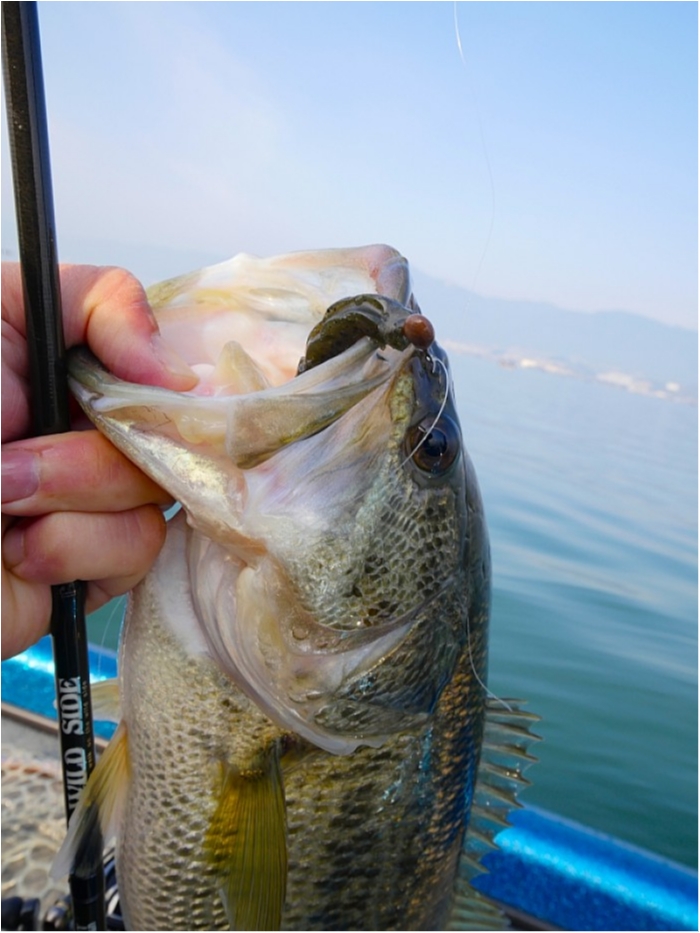 truth ブログ写真 2018/03/27