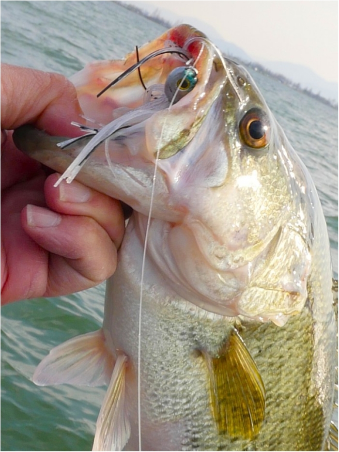 truth ブログ写真 2018/03/27