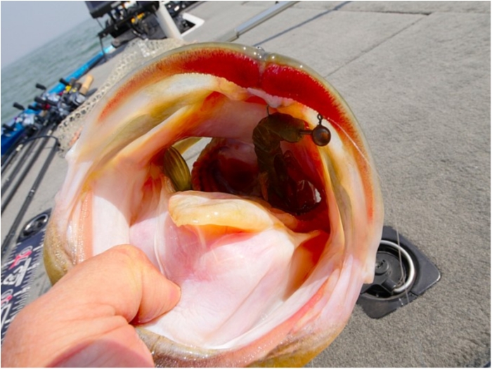 truth ブログ写真 2018/03/27