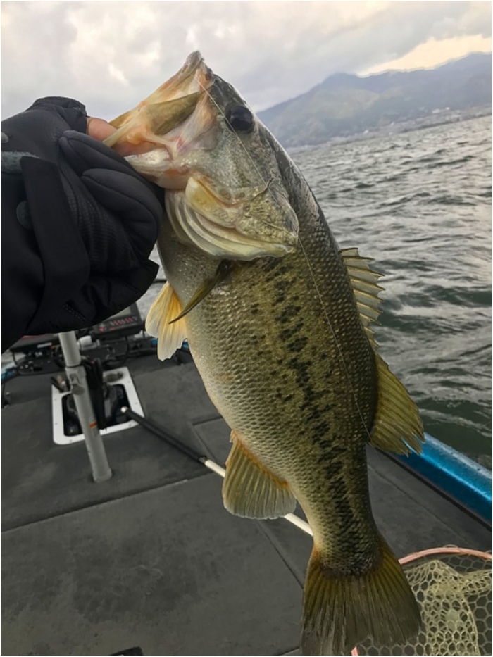 truth  ブログ写真 2018/04/07