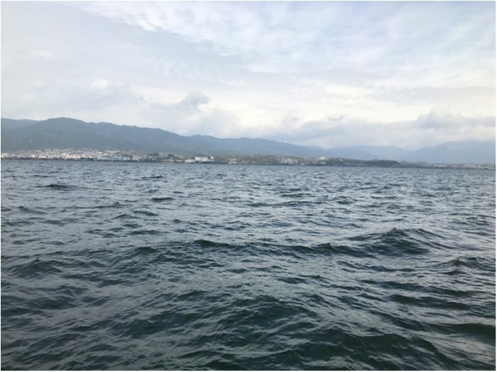 truth  ブログ写真 2018/04/07