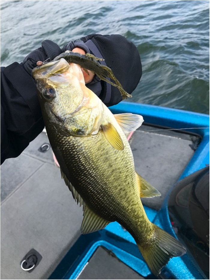 truth  ブログ写真 2018/04/07