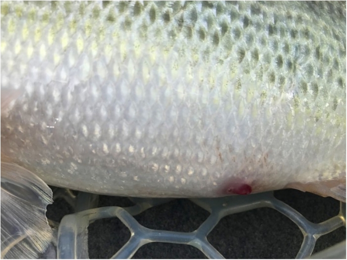 truth  ブログ写真 2018/04/07