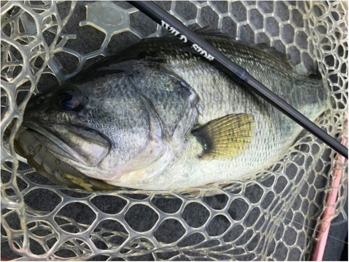 truth  ブログ写真 2018/04/07