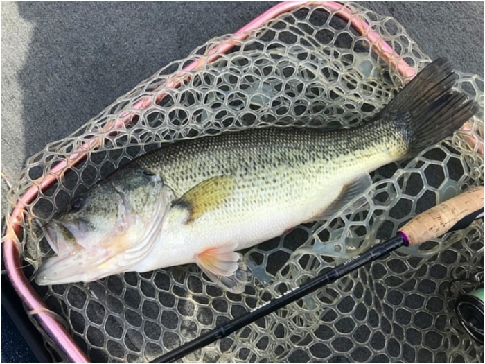 truth  ブログ写真 2018/04/07